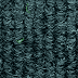 4341 Forest