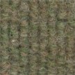 4359 Tarragon