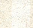 QS7168 (30 Lineal Yards Remaining)
