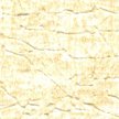 ALG-1551