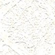 ALG-1556