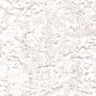 ALG-1584