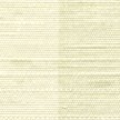ATY-1507