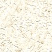 ATY-1541