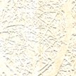 ATY-1553